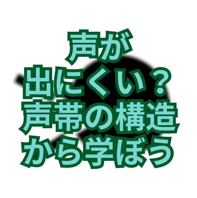 声が出にくい原因と解消法！声帯の構造から学ぶ